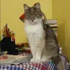 Отзыв от Эмма Шилова